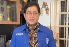 Wakil Ketua Umum PAN, Viva Yoga Mauladi