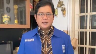 Wakil Ketua Umum PAN, Viva Yoga Mauladi