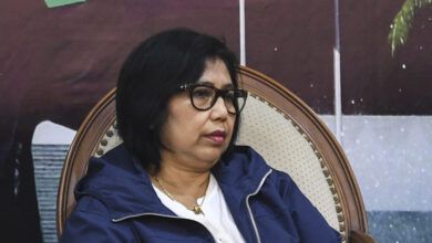 Ketua DPP Partai NasDem, Irma Suryani Chaniago