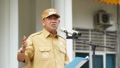 Bupati Langkat, Syah Afandin