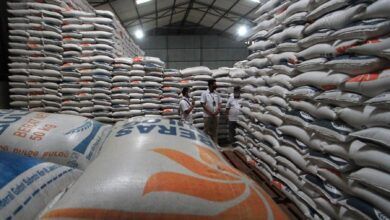 Cadangan Beras Pemerintah (CBP)