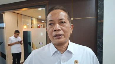 Menteri Koperasi Ferry Juliantono