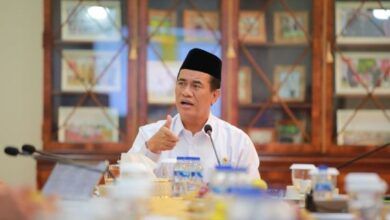 Menteri Pertanian (Mentan) Andi Amran Sulaiman