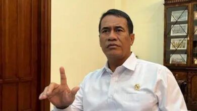 Menteri Pertanian (Mentan) Andi Amran Sulaiman