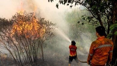 Kebakaran hutan dan lahan (karhutla) di Sumatera
