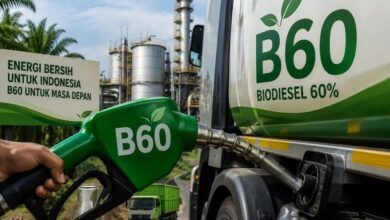 Biodiesel B60