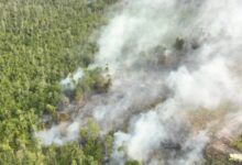 Kebakaran hutan dan lahan (karhutla) di Ibu Kota Nusantara (IKN)