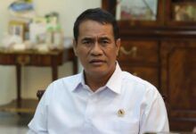 Menteri Pertanian sekaligus Kepala Badan Pangan Nasional (Bapanas) Andi Amran Sulaiman